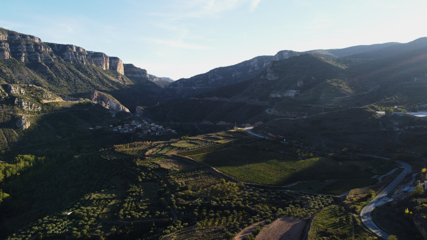 The silence of the vineyard
