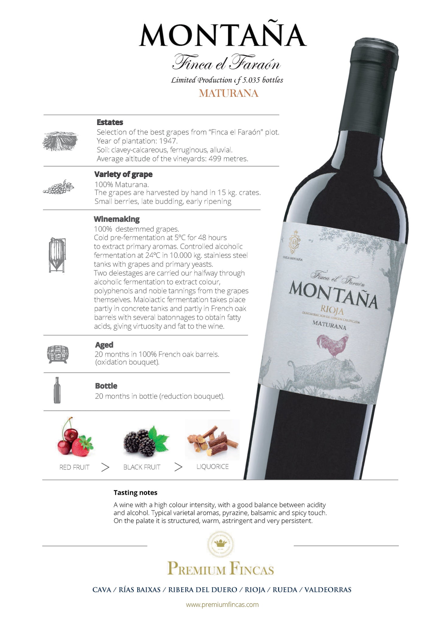 Montaña Reserva Finca El Faraón