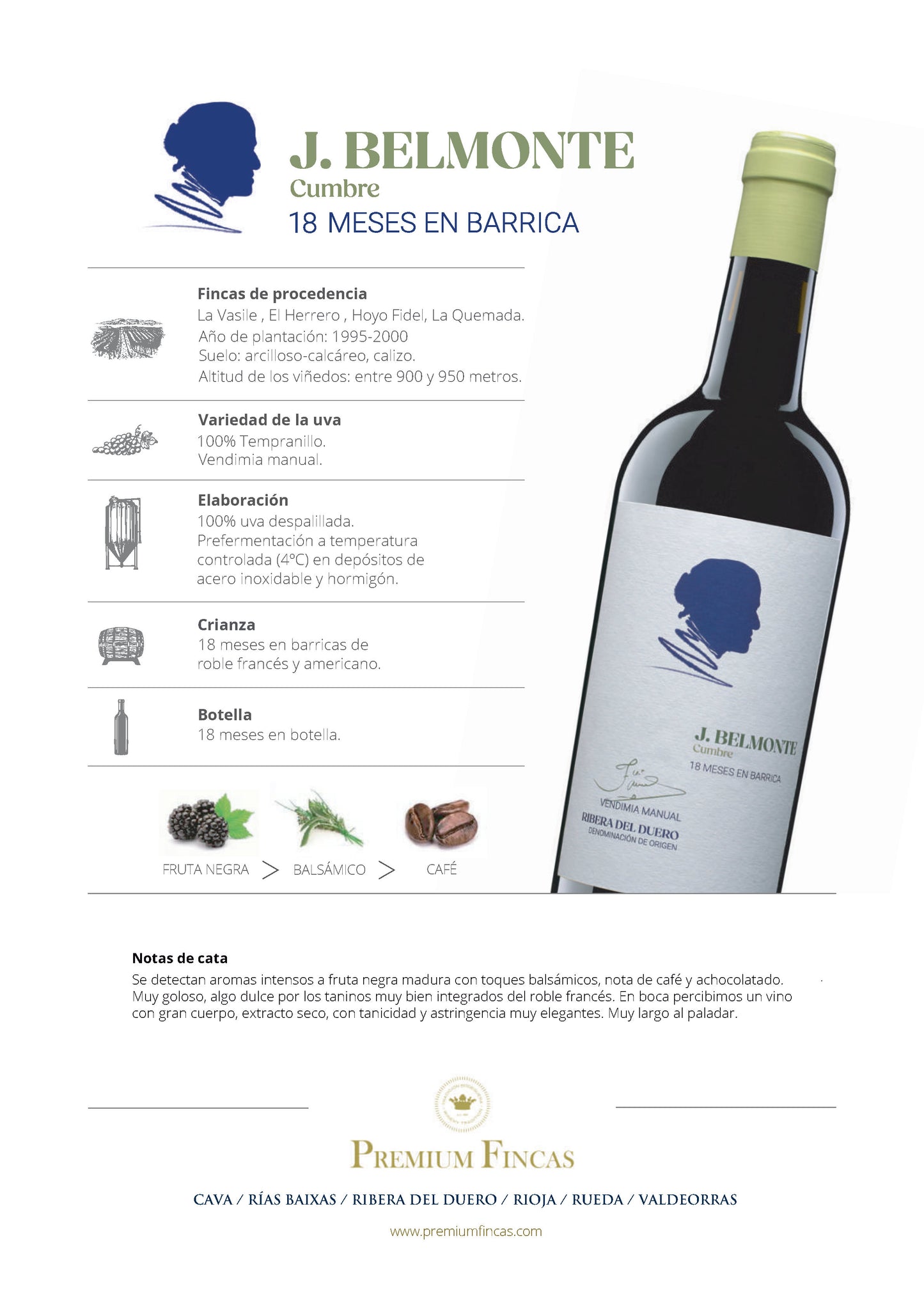 J. Belmonte 18 Meses