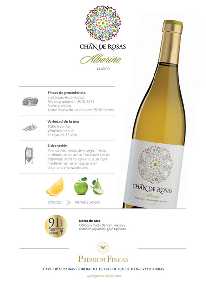 Chan de Rosas Clásico