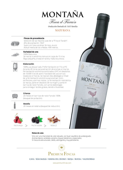 Montaña Reserva Finca El Faraón