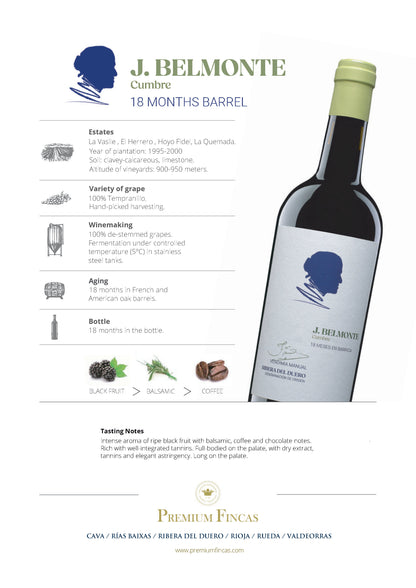 J. Belmonte 18 Meses