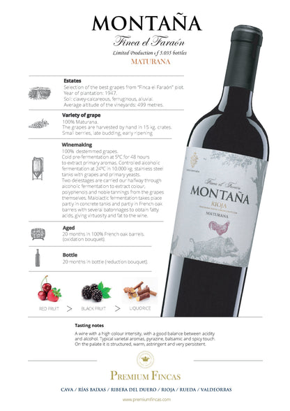 Montaña Reserva Finca El Faraón