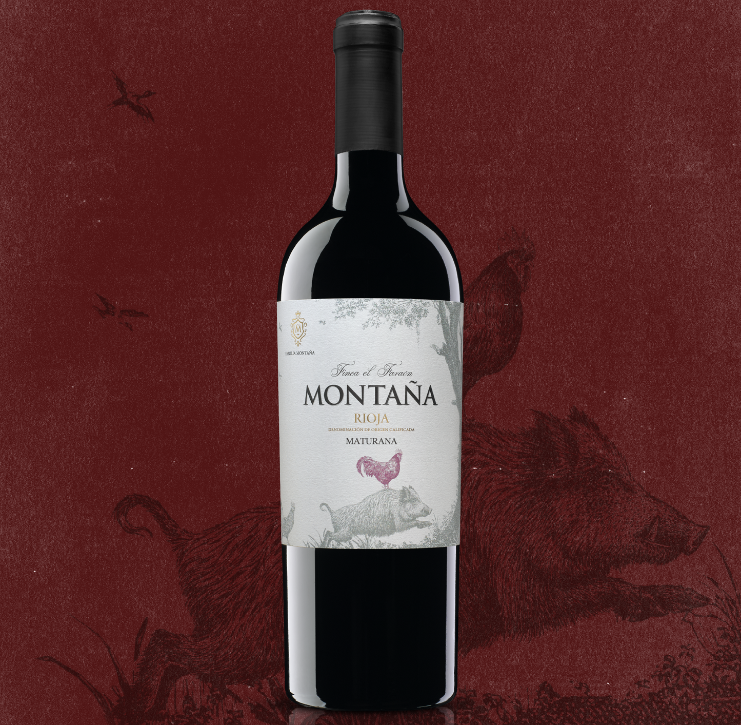 Montaña Reserva Finca El Faraón